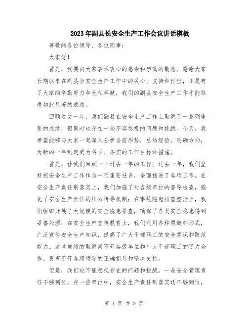 2023年副县长安全生产工作会议讲话模板