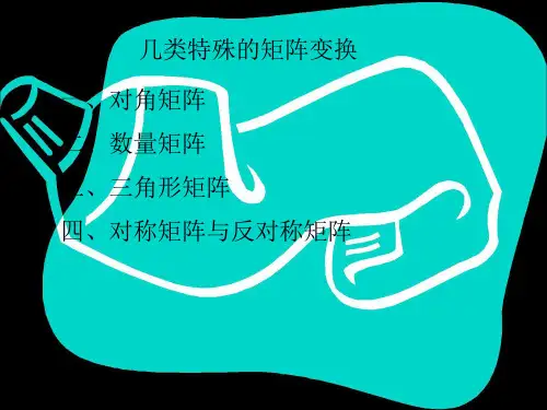 《1.2.3 几类特殊的矩阵变换》课件2-优质公开课-人教B版选修4-2精品