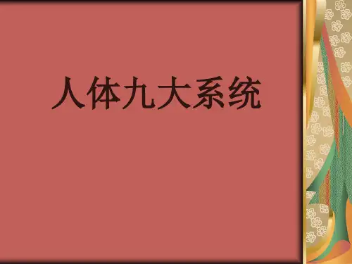 人体九大系统课件