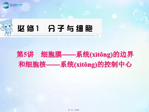 高考生物一轮总复习 第5讲 细胞膜 系统的边界和细胞核系统的控制中心配套课件 新人教版必修1