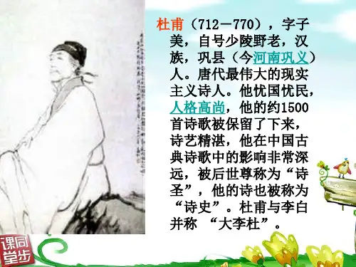 黄师塔前江水东课件江畔独步寻花__