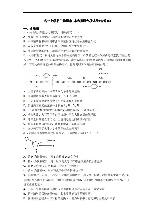 高一上学期生物期末 非选择题专项试卷(含答案)
