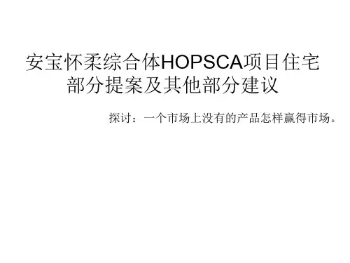 怀柔大型综合体HOPSCA项目整体策划报-86PPT