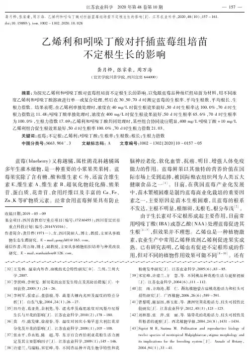 乙烯利和吲哚丁酸对扦插蓝莓组培苗不定根生长的影响