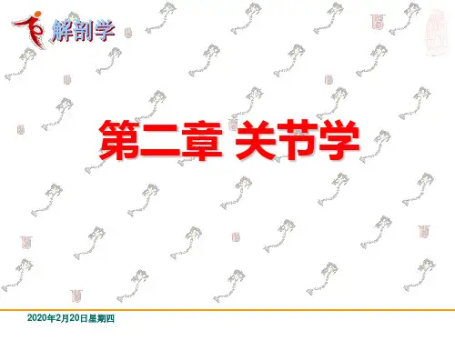 关节学课件