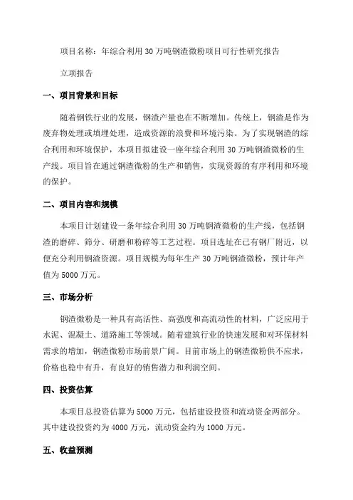 年综合利用30万吨钢渣微粉项目可行性研究报告完整立项报告