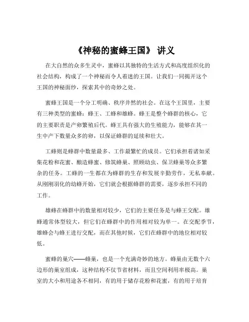 《神秘的蜜蜂王国》 讲义