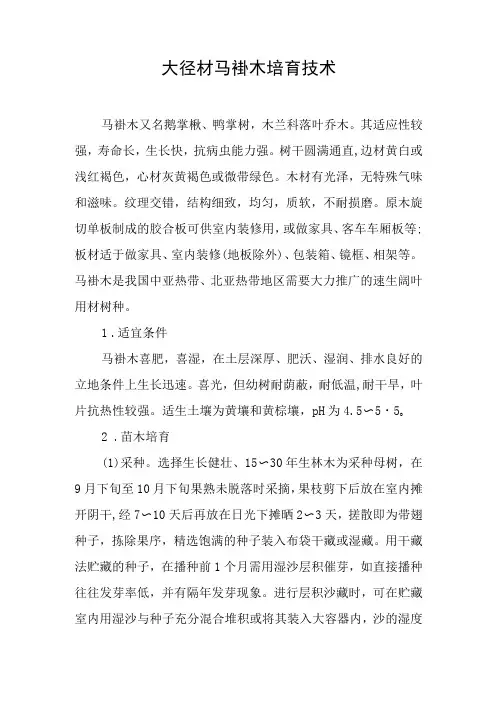 大径材马褂木培育技术