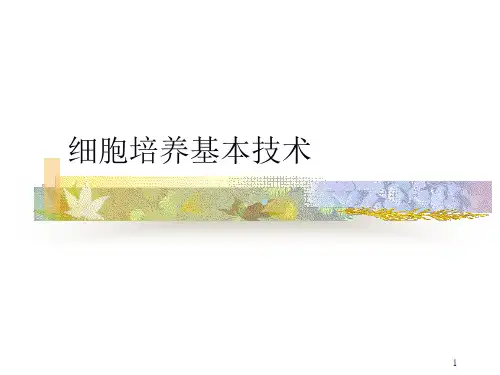 细胞培养PPT课件