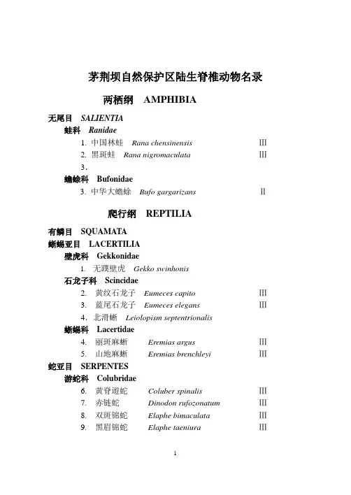 陆生脊椎动物名录资料