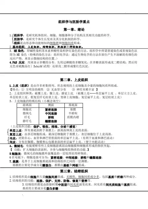 组织学与胚胎学重点 (2)
