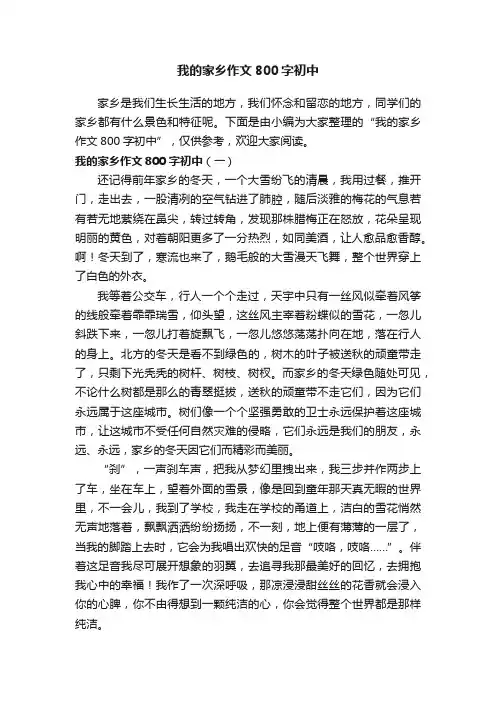 我的家乡作文800字初中