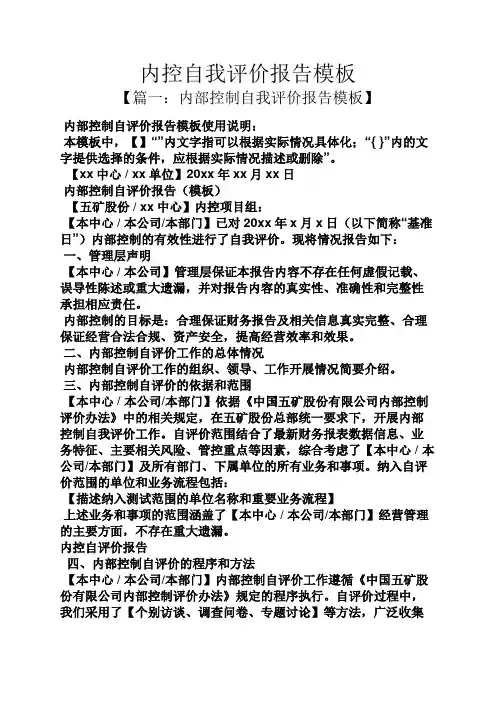 内控自我评价报告模板