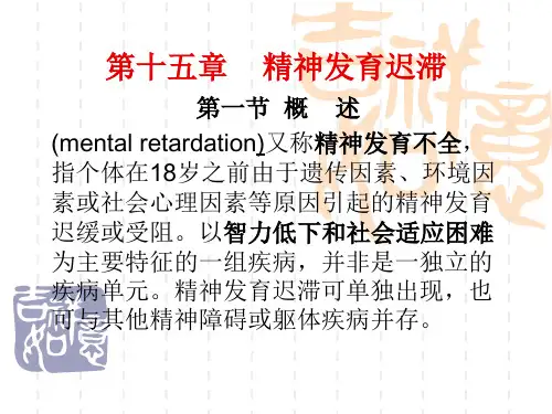 精神发育迟缓 PPT课件