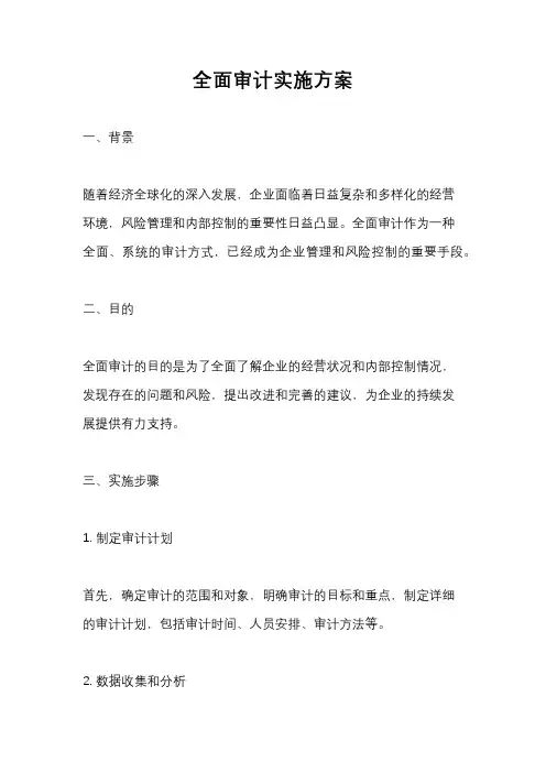 全面审计实施方案