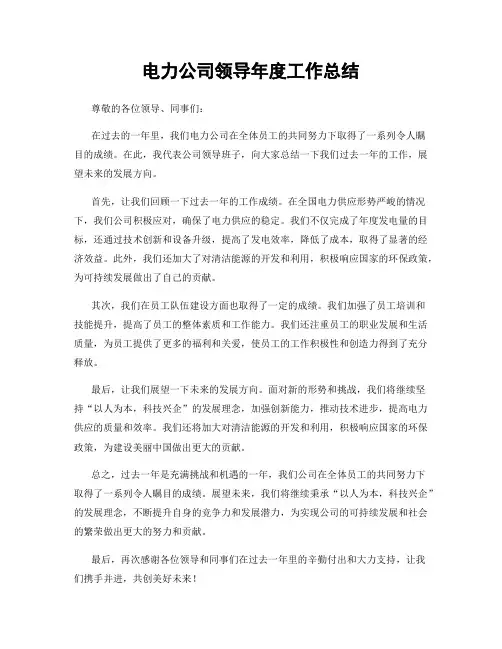 电力公司领导年度工作总结