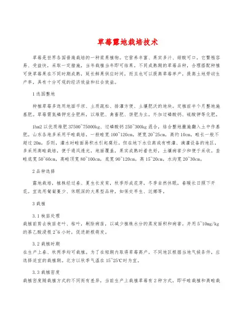 草莓露地栽培技术