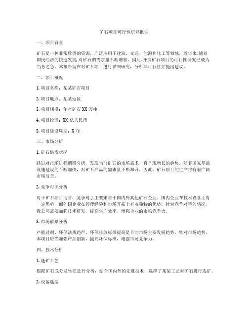 矿石项目可行性研究报告
