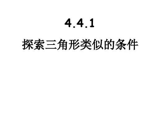 4.探索三角形相似的条件PPT课件(北师大版)