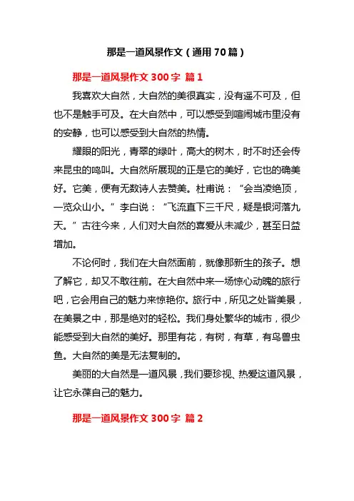 那是一道风景作文(通用70篇)