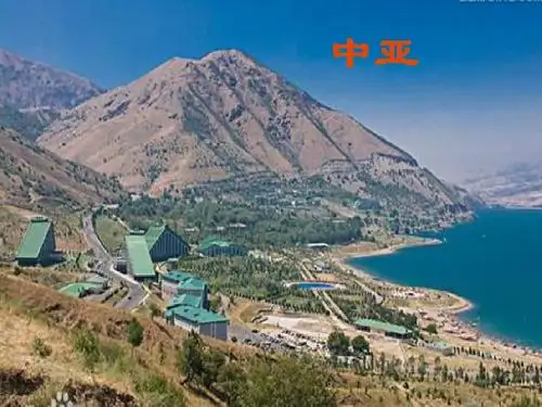 中亚