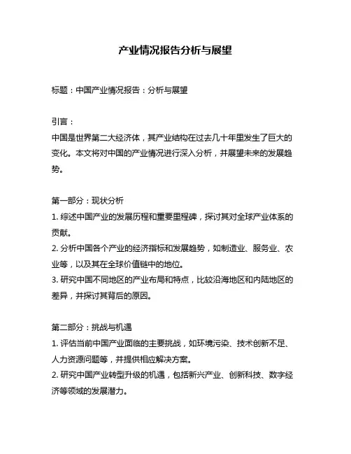 产业情况报告分析与展望