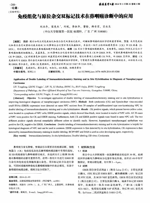 免疫组化与原位杂交双标记技术在鼻咽癌诊断中的应用