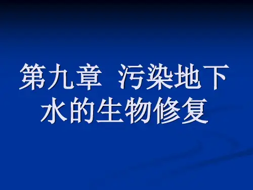 污染环境生物修复工程PPT课件