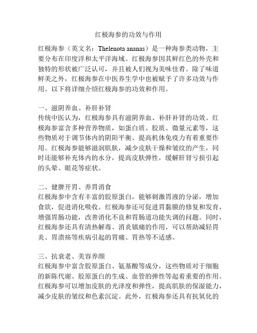 红极海参的功效与作用