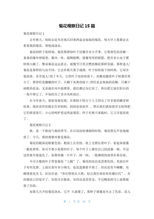菊花观察日记15篇