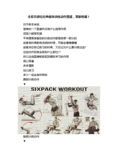 全套各部位经典健身训练动作图谱，果断收藏！