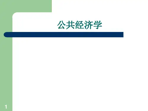 政府财政及职能PPT演示文稿