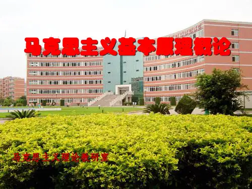 马克思主义基本原理概论第三章