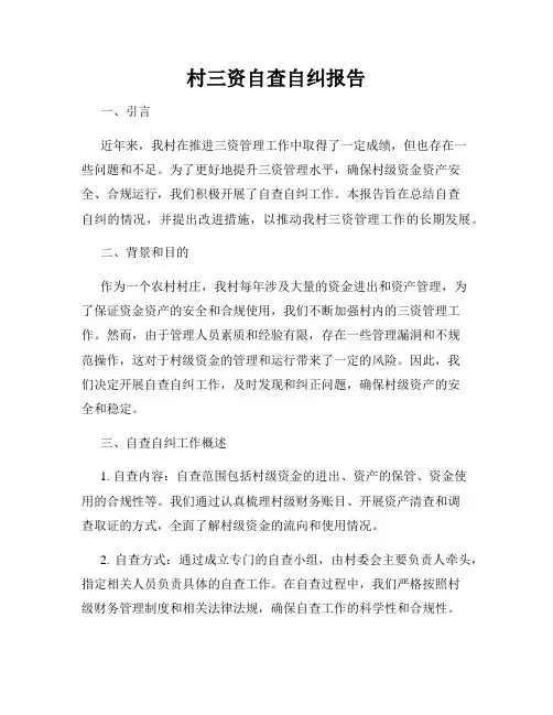 村三资自查自纠报告