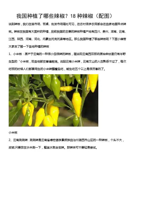 我国种植了哪些辣椒