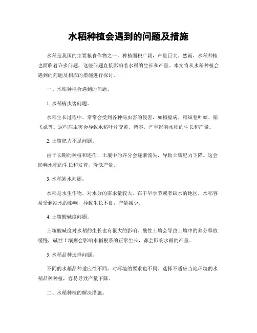 水稻种植会遇到的问题及措施
