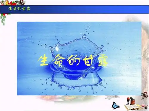 六年级美术上册第9课生命的甘露PPT课件3湘美版