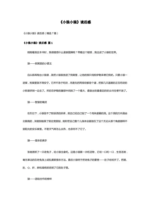 《小狼小狼》读后感(精选7篇)