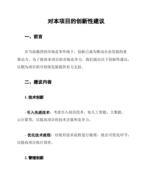 对本项目的创新性建议