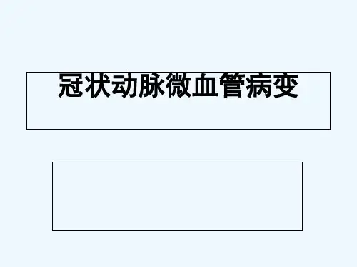 冠状动脉微血管病变-PPT