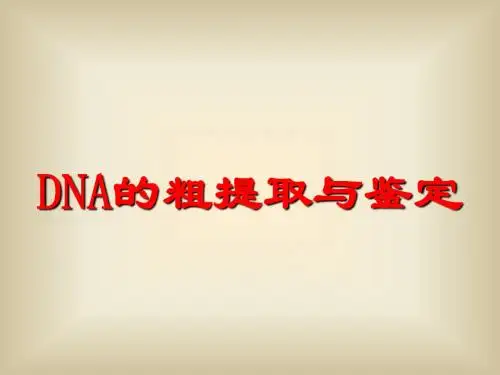 DNA的粗提取与鉴定(优秀课件)