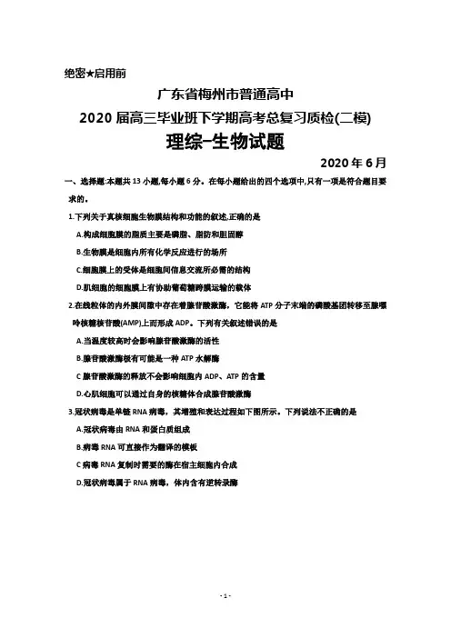 2020年6月广东省梅州市普通高中2020届高三毕业班总复习质检(二模)理综生物试题及答案