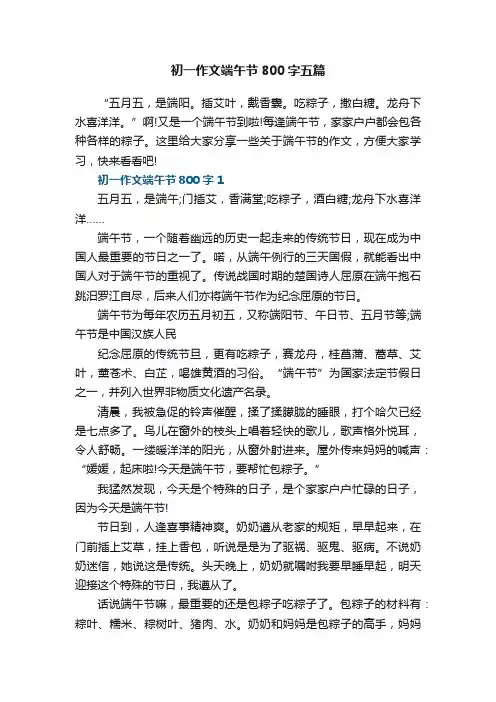 初一作文端午节800字五篇