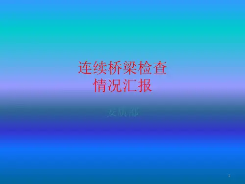 连续桥梁检查汇报ppt课件