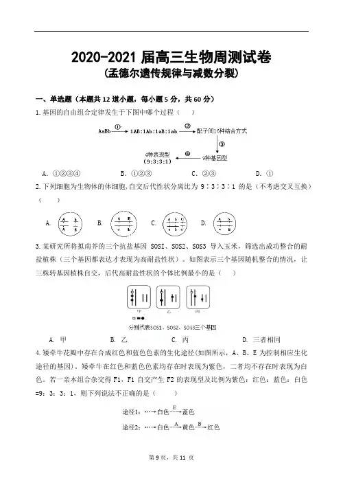 2020-2021届高三生物周测试题与答案(遗传规律和减数分裂)