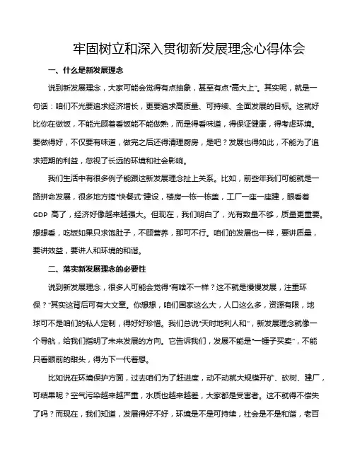 牢固树立和深入贯彻新发展理念心得体会