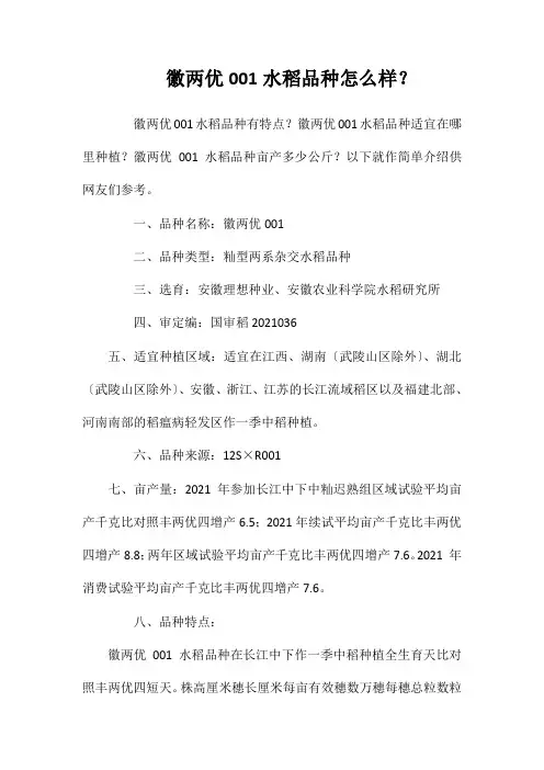徽两优001水稻品种好不好？