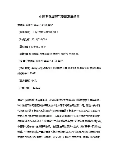 中国石化煤层气资源发展前景