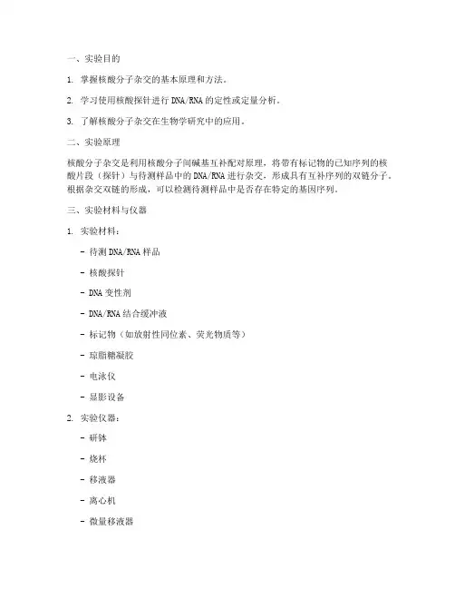 核酸分子杂交实验报告