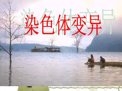 染色体变异课件